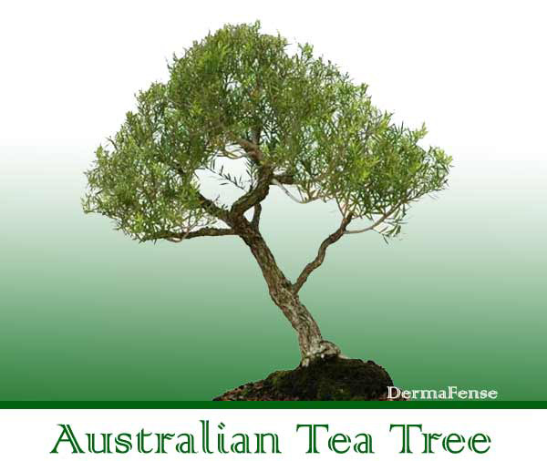 Narual Wrestling Wipes